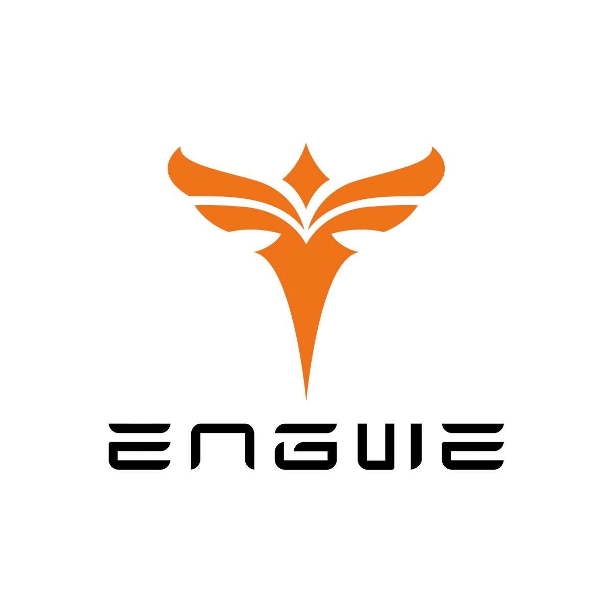 ENGWE Products